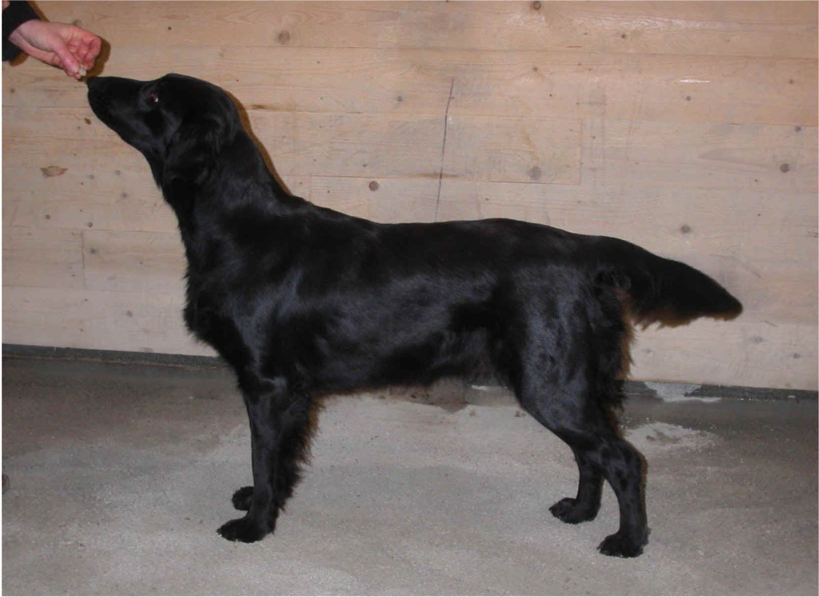 O'Flanagan Gott Och Blandat